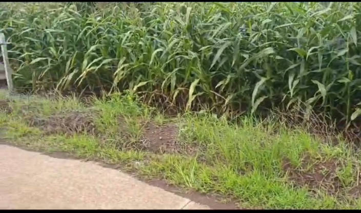 Đất Nền Xuân Phú, Xuân Lộc (1005m²) - Sổ Hồng Chính Chủ, Giá Tốt Đầu Tư