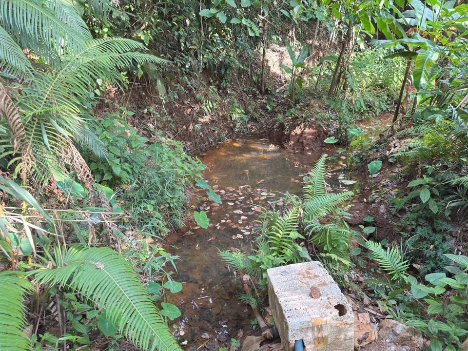 Đất Nền Đắk Nông 25.000m² - Sẵn Sàng Đầu Tư, Giá 2.1 Tỷ