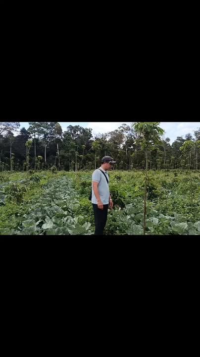 Bán gấp 1.1ha đất bằng view ao lớn, Đắk Nông - Giá 1.3 tỷ