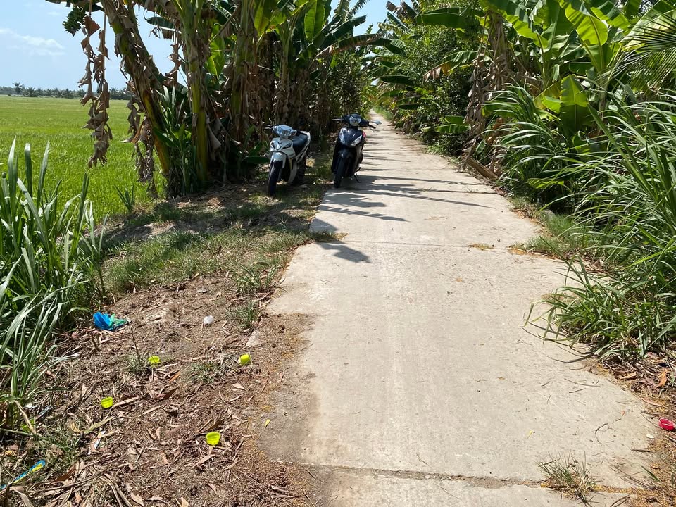 Bán Đất Vườn 7700m² Mặt Tiền Đường Ô Tô, Giá 13.86 Tỷ Tại Trà Vinh