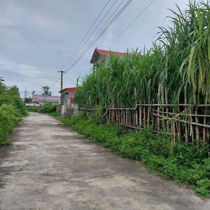 Bán Gấp Đất Thổ Cư 120m² Hương Nộn, Phú Thọ - Gần Trường, Bệnh Viện, KCN