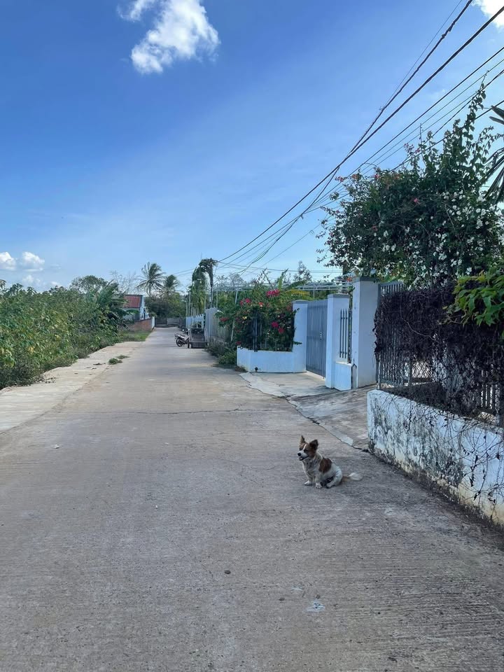 Đất Vàng Xã Dray Bhăng, Đắk Lắk - Sổ Đỏ Riêng, Gần Chợ 100m