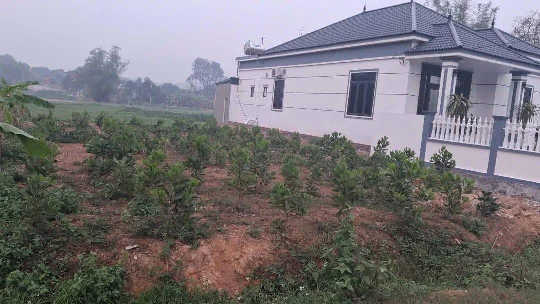 Bán Đất Thổ Cư Gia Lâm, Nho Quan 180m² - Đường Ô Tô Tránh, Giá 7 Tỷ