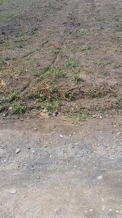 Đất Nền Đức Hòa Long An 1188m² - Sổ Đỏ Thổ Cư, Sẵn Sàng Xây Nhà Vườn/Trọ