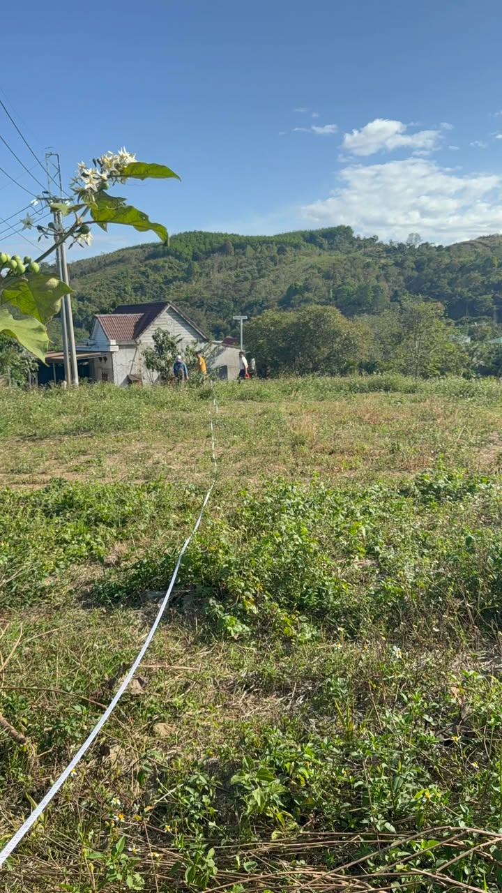 Đất nền Đăc Mâm, Đơn Dương - 180m² Sổ đỏ sẵn sàng, giá 320 triệu