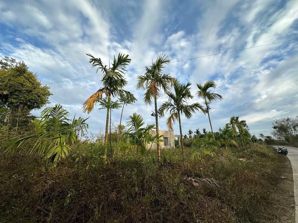 Đất Nền Krông Năng 1006m² - Sổ Đỏ Riêng, Gần Trung Tâm