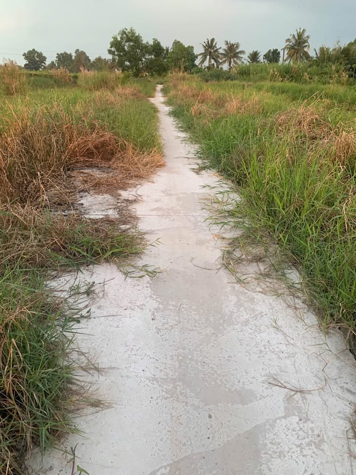 Đất Nền Hòn Đất 200m² Giá 600 Triệu - Đầu Tư Sinh Lời