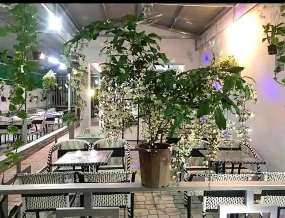 Cho thuê mặt bằng kinh doanh cafe 500m² tại TT. Châu Thành, Bến Tre - Sẵn sàng hoạt động