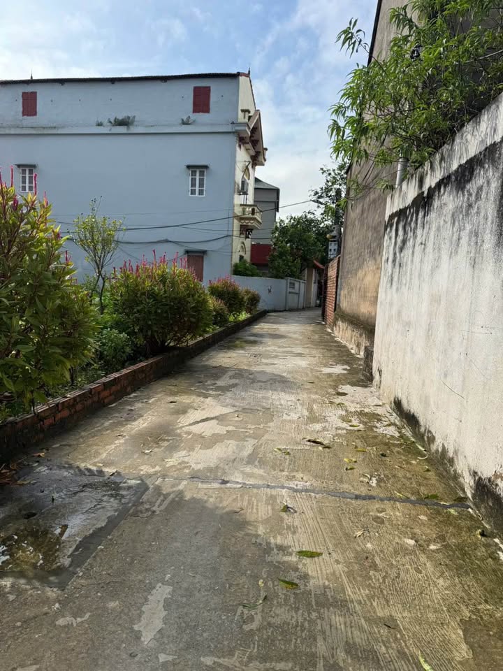 Đất nền Mão Điền, Thuận Thành 71m² giá 1.3 tỷ - Đầu tư sinh lời