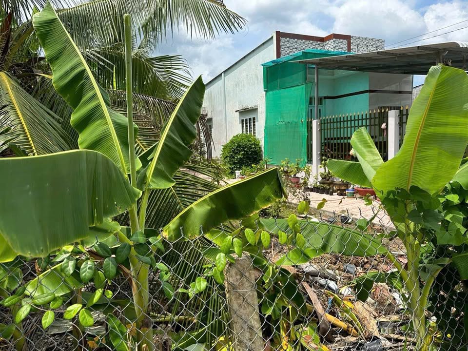 Đất nền Vĩnh Long 1200m² giá 3 triệu/m² - Cơ hội đầu tư sinh lời tuyệt vời!