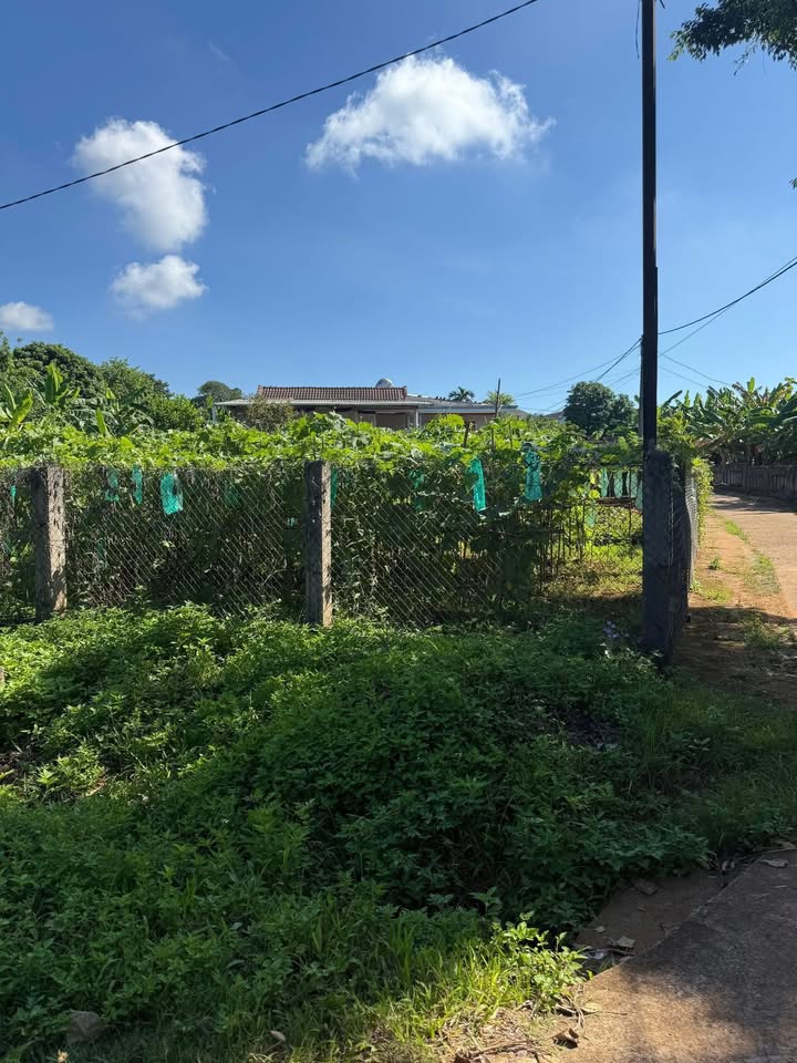 Đất Nền Mặt Tiền 2 Lối, View Ruộng 325m² An Du Nam, Quảng Trị - Giá Tốt