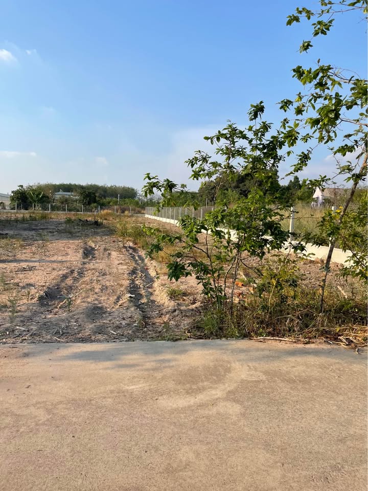 Đất nền Tân Hiệp Hóc Môn 338m² Sổ sẵn - Giá 530 triệu