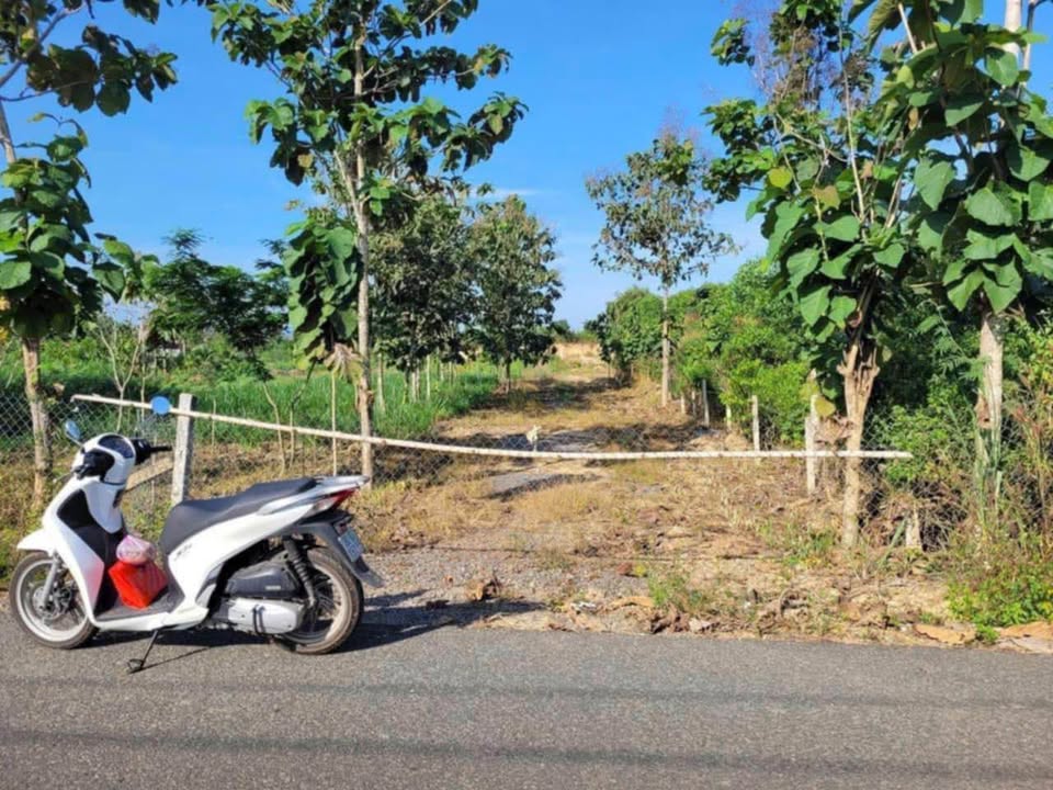 Bán Đất Vườn Đồng Nai 5400m² - Mặt Tiền Nhựa Rộng Rãi