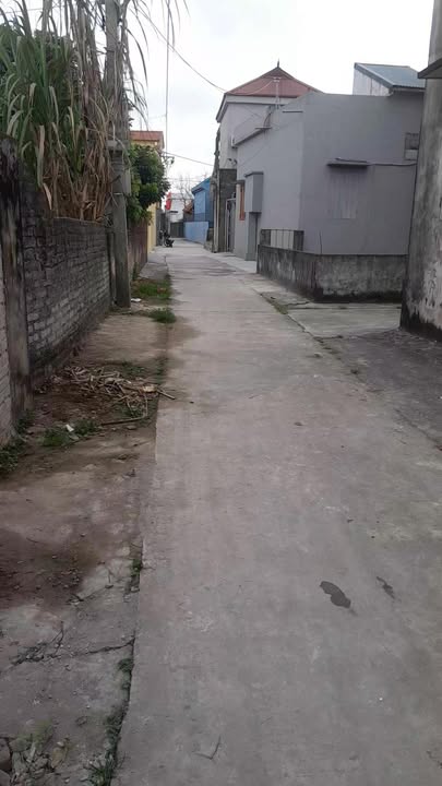 Bán đất thổ cư 104m² tại Ý Yên, Nam Định - Giá 8 tỷ