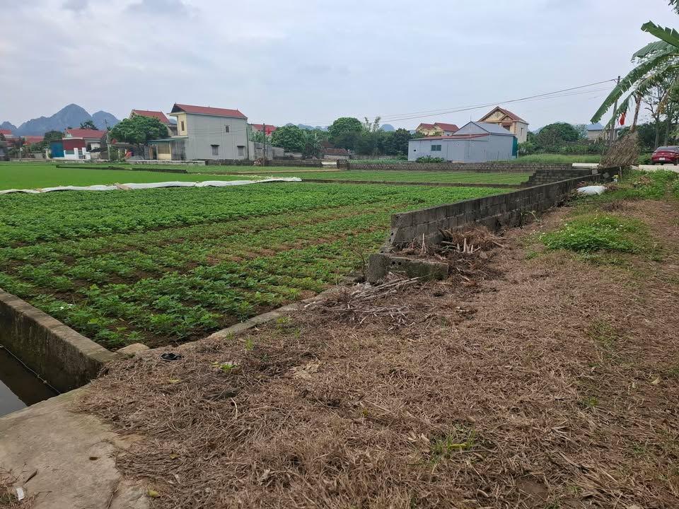 Đất Nền Yên Mô Ninh Bình 96m² - View Sông, Gần Khu Du Lịch Sinh Thái