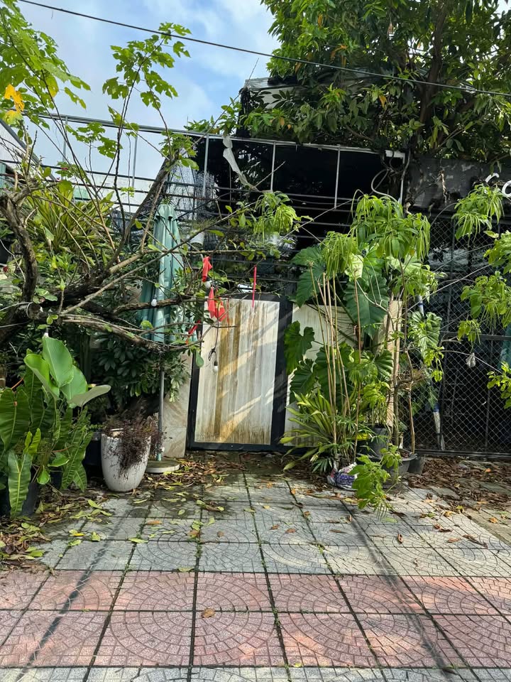 Bán Đất Đường Mẹ Thứ Hòa Xuân 120m² - Vị Trí Vàng Kinh Doanh