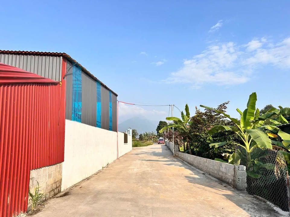 Bán Đất Nền Phù Ninh, Phú Thọ 184.5m² - Gần QL2, Sổ Hồng Sẵn Sàng