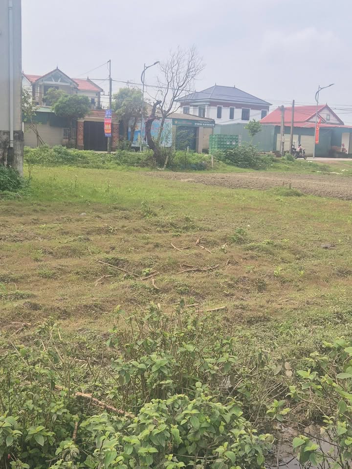 Đất Vàng Cẩm Xuyên, Hà Tĩnh - 280m² Gần QL1A, Sẵn Sổ Đỏ