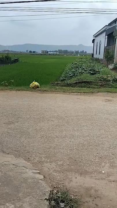 Đất Nông Cống 100m² - Sổ Đỏ Thổ Cư 100% - Giá Đầu Tư 7xx Tỷ