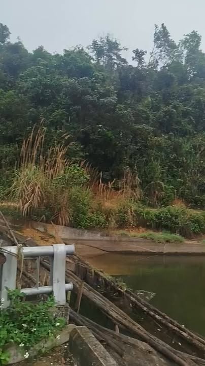 Bán Đất Rừng Xuân Lai Thọ Xuân 3ha - View Hồ Bến En, Tiềm Năng Homestay