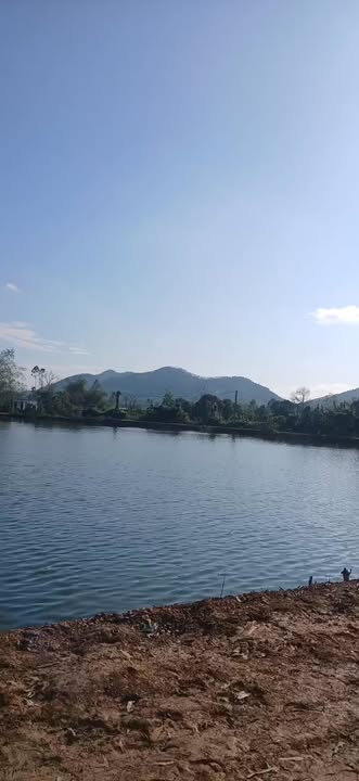 Đất Nền 5x40m - Sổ Đỏ Thổ Cư 90m² Tại Tam Nông, Phú Thọ - Giá Chỉ Từ 4xx Triệu