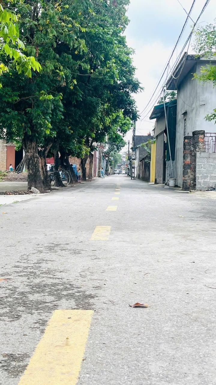 Đất Lô Góc Kim Bảng 118m² - View Cánh Đồng Thoáng Mát, Ô Tô Tránh