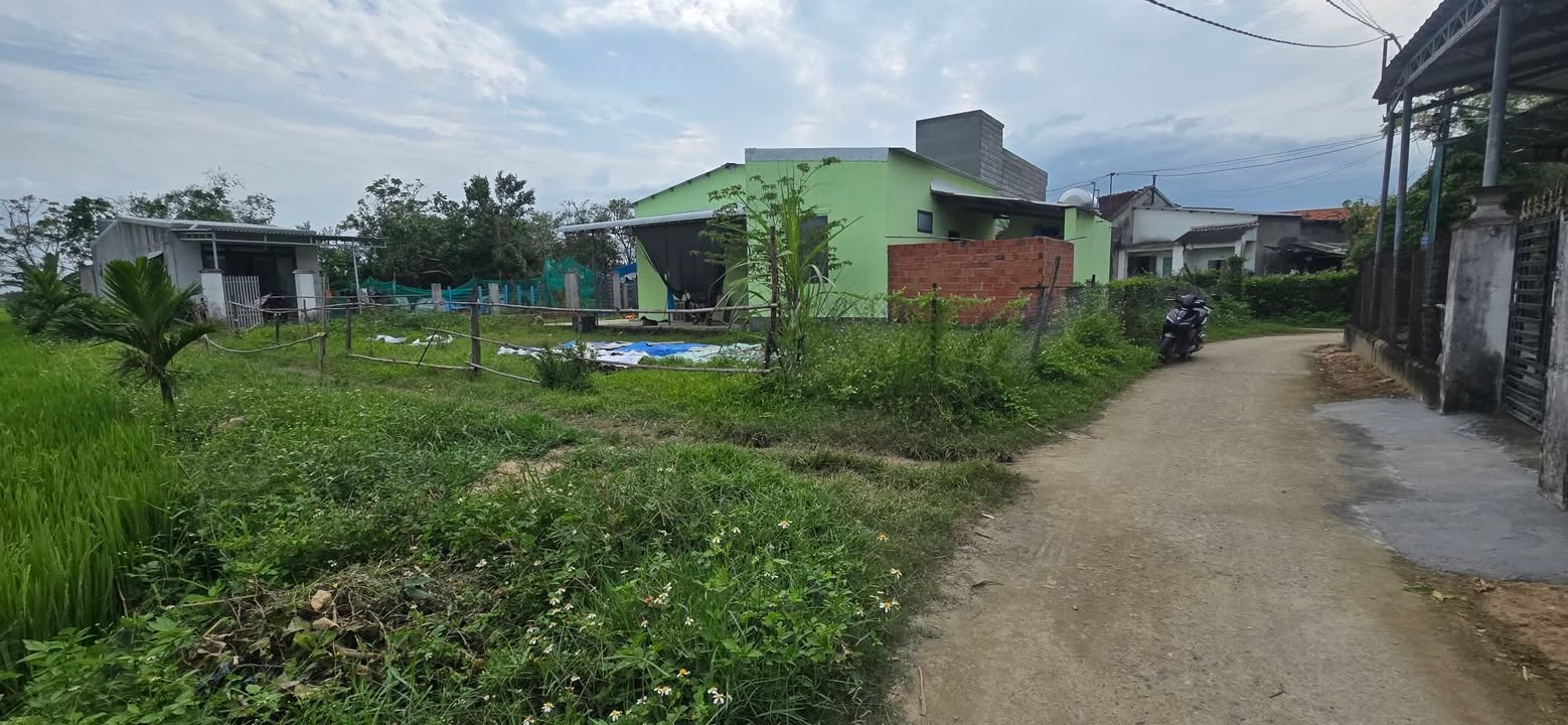 Đất Nền Phước Hưng Tuy Phước 75m² - Giá Đầu Tư 3xx Triệu