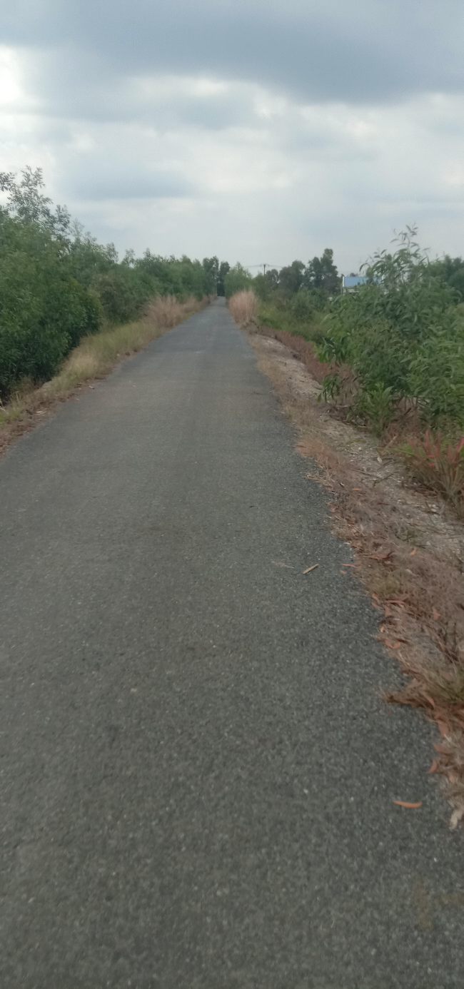 Bán Đất Vườn Đồng Tháp 6000m² Giá 2.4 Tỷ - Đầu Tư Sinh Lời