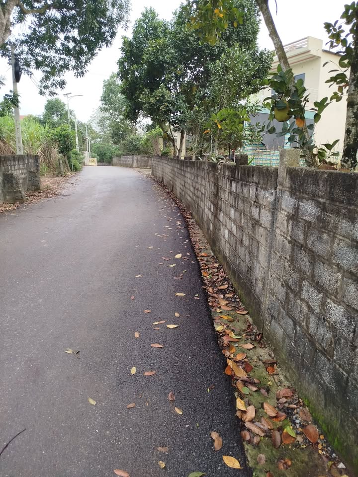 Bán Đất Thổ Cư Thọ Xuân 250m² Sổ Đỏ Chính Chủ - Giá Tốt