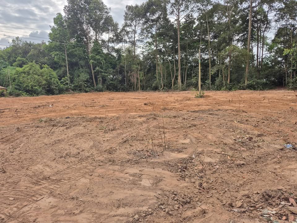 Bán Đất Mặt Tiền Trà Vinh 2430m² Giá 1.57 Tỷ - Tiềm Năng Sinh Lời Cao