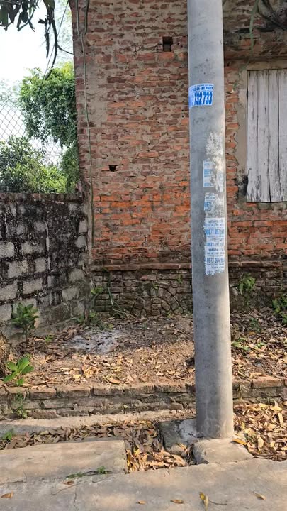 Đất Nền 383m² Sổ Hồng Tại Cương Chính, Tiên Lữ - Giá 1 Tỷ, Lý Tưởng Xây Biệt Thự Vườn