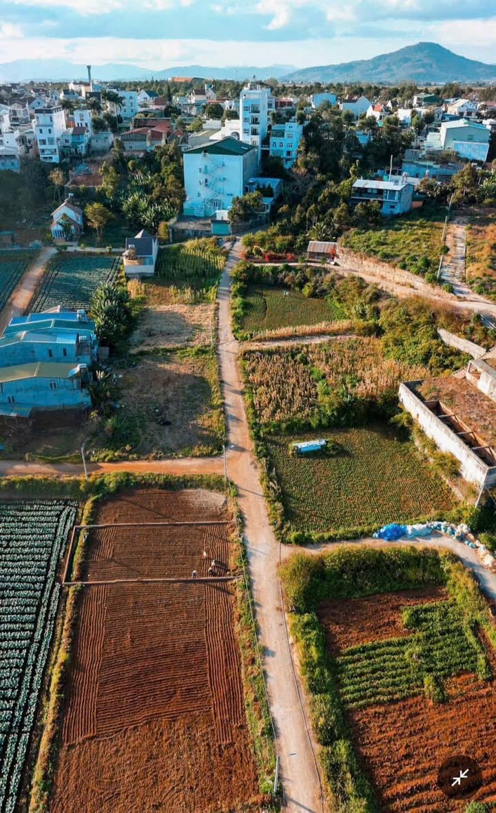 Đất Nền 69.5m² Sổ Đỏ Thổ Cư - Đối Diện Sân Bay Liên Khương, Bảo Lộc