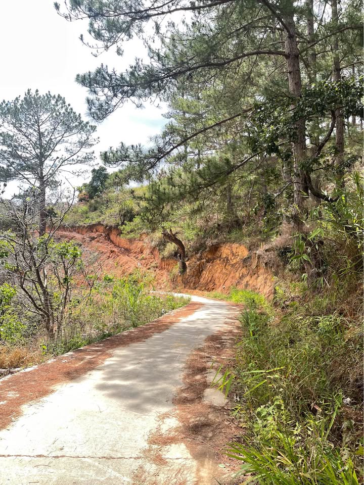 Bán đất vườn nghỉ dưỡng tại Dran, Lâm Đồng – 1314m² chỉ 1.3 tỷ, sổ hồng sẵn