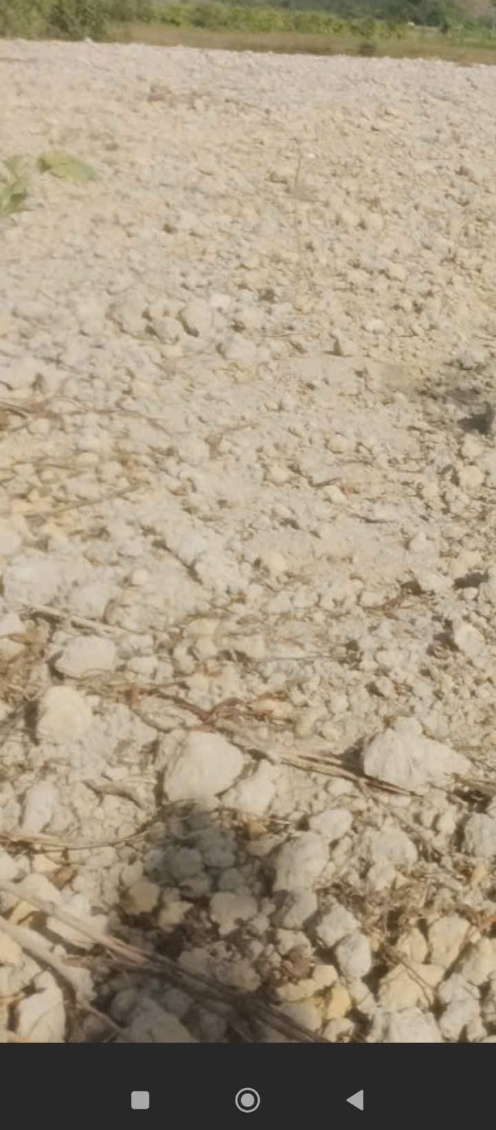 Bán Đất Đam Rông 1440m² - Sổ Hồng Sẵn Sàng, Giá Đầu Tư 450 Triệu