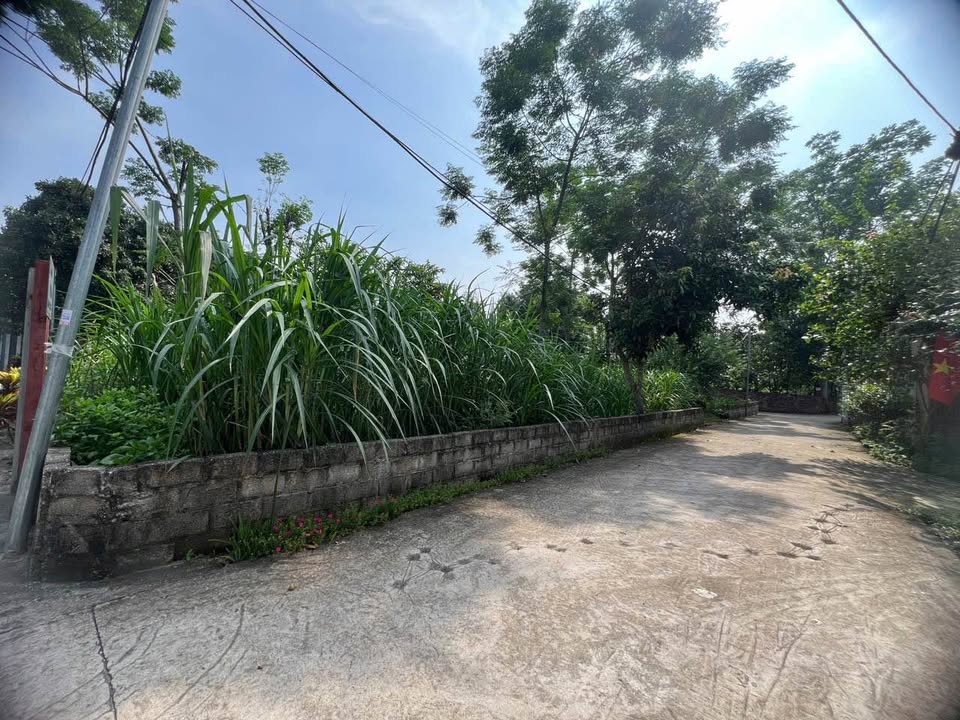 Đất Lô Góc Yên Bài, Ba Vì 360m² - Sẵn Sàng Đầu Tư, Kinh Doanh Homestay