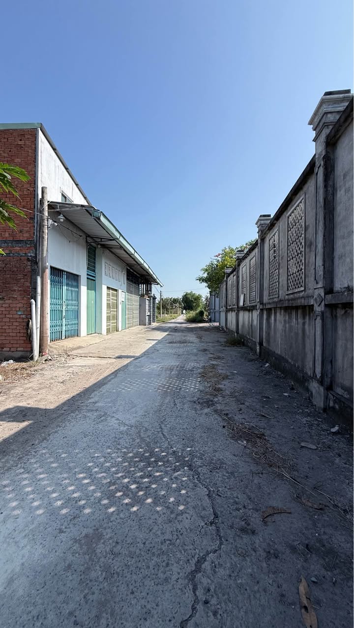 Đất thổ cư Tân Trạch, Cần Đước 109m² - View kênh, đường xe tải, giá chỉ từ 560 triệu