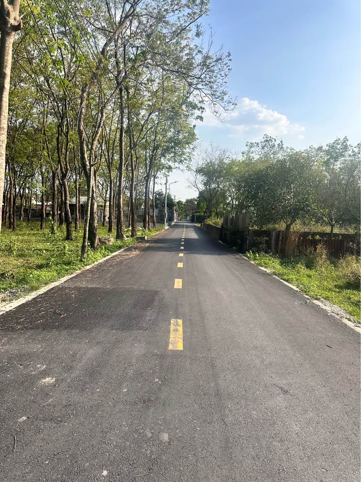 Đất Nền TP Mới Bình Dương - 83.3m² Thổ Cư, Giá Hơn 3 Tỷ