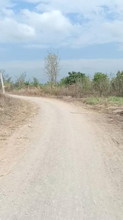 Đất Nền Đắk Lắk 540m² - Sổ Nông Nghiệp, Sẵn Sàng Công Chứng