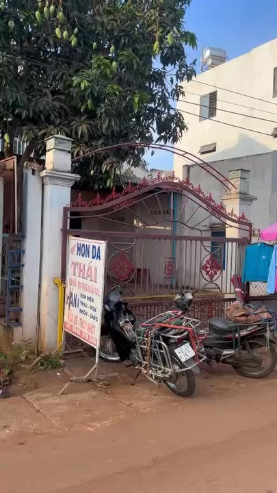 Bán Gấp Đất Vàng 318m² Hướng Đông Bắc, Xã Bàu Lâm, BR-VT - Giá Tốt