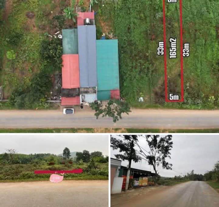 Đất Mặt Đường TL316C Thanh Sơn, Phú Thọ - 165m² Sổ Đỏ, Giá 6xx Triệu