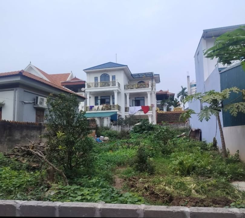 Đất Nền Văn Giang Hưng Yên - 256.6m² Mặt Tiền Rộng 11m - Giá 14.16 Tỷ