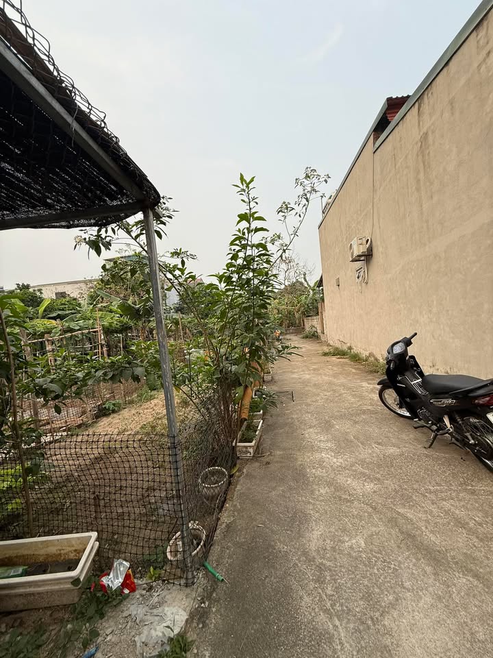 Đất nền Ninh Sở, Thường Tín 45m² - Sổ đỏ chính chủ, ô tô vào tận nơi