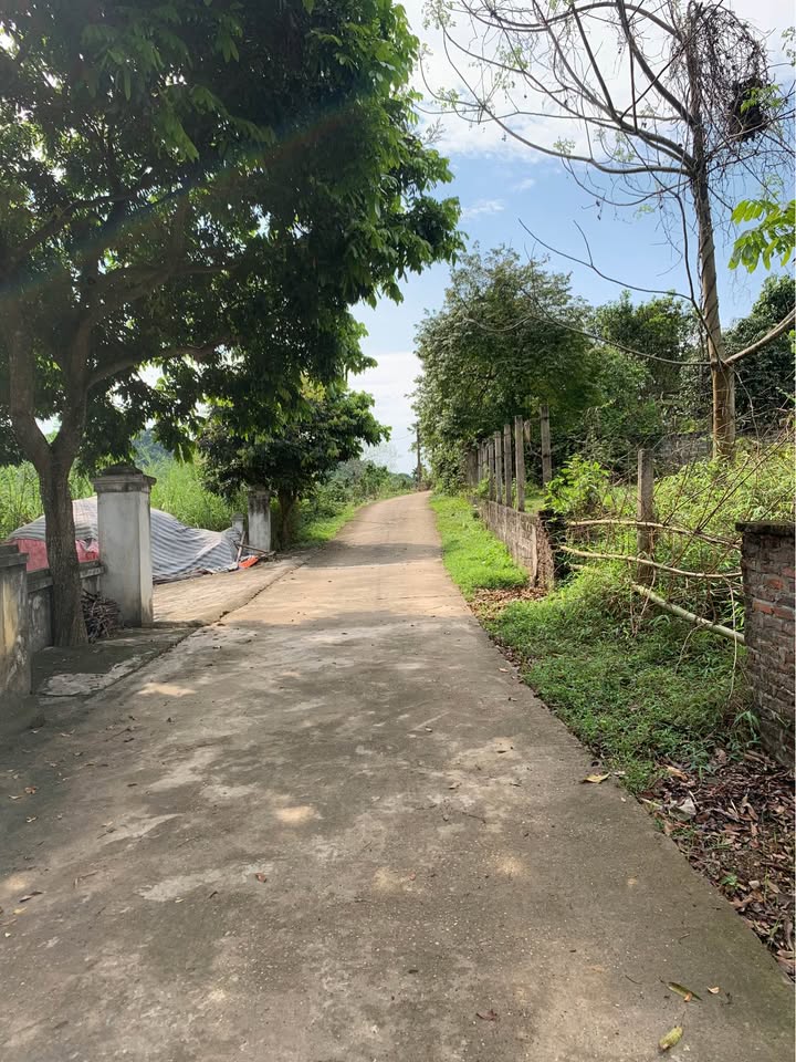 Đất nền An Tường Tuyên Quang 150m² - Ngõ ô tô, 2 mặt thoáng, giá 1,x tỷ