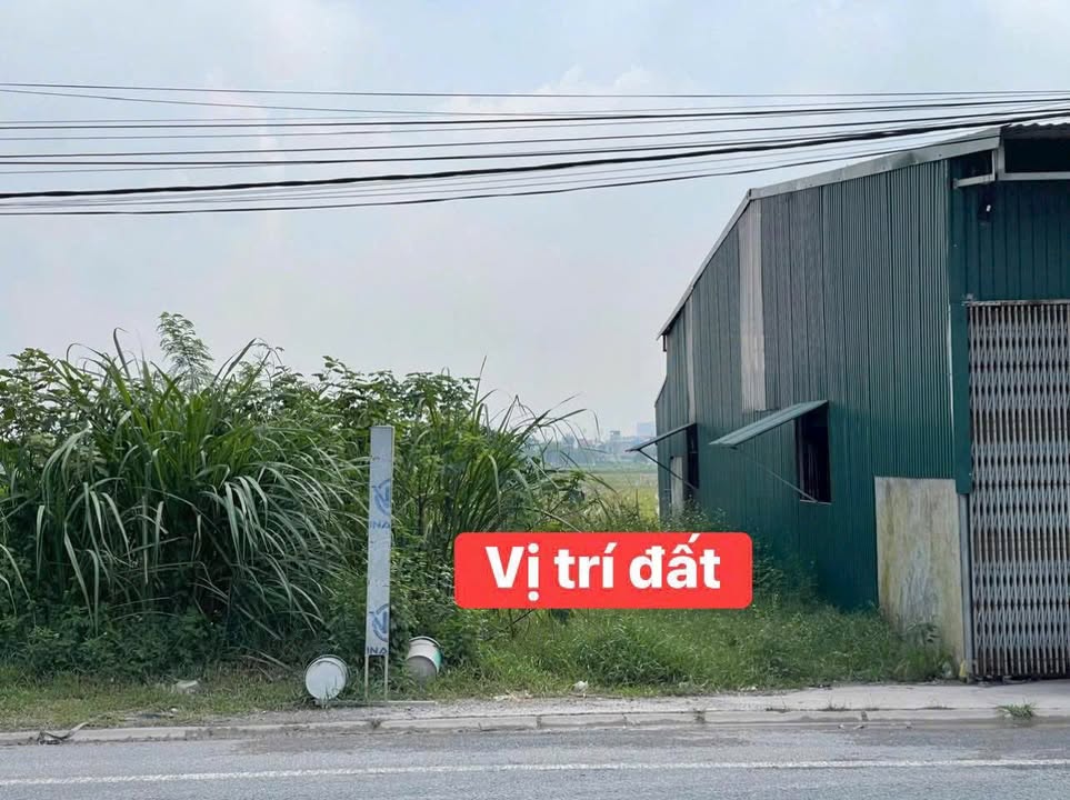 Đất Phủ Lý 80m² Giá 1.8 Tỷ - Kinh Doanh Sầm Uất, Gần Đại Học