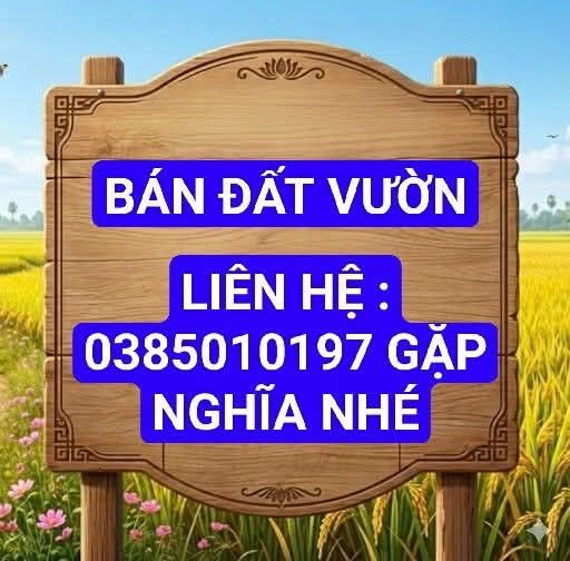 Đất Vườn Dừa Bến Tre 1000m² - Giá Đầu Tư 1.08 Tỷ