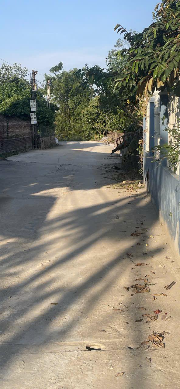 Bán gấp đất nền 393m² Việt Yên, Bắc Giang - Sát Sân Golf, gần KCN