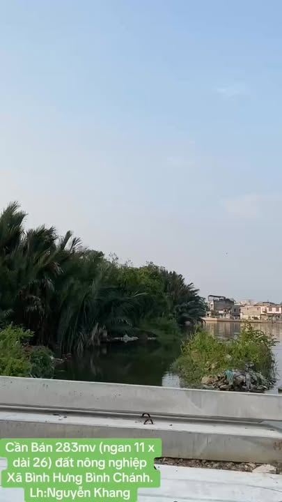 Bán Gấp Đất Nông Nghiệp Bình Chánh 283m² - Giá Tốt 3.39 Tỷ