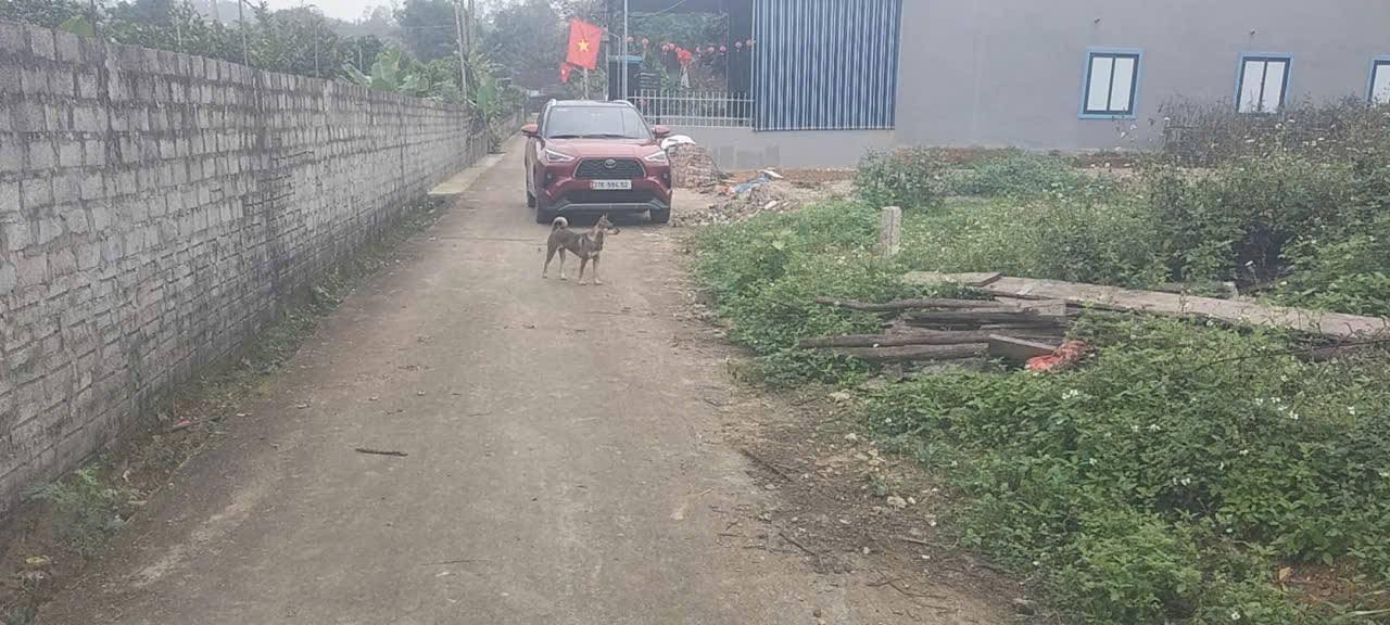 Đất Nền Đô Lương Nghệ An 170m² - Sổ Đỏ Rõ Ràng, Gần Khu Sinh Thái