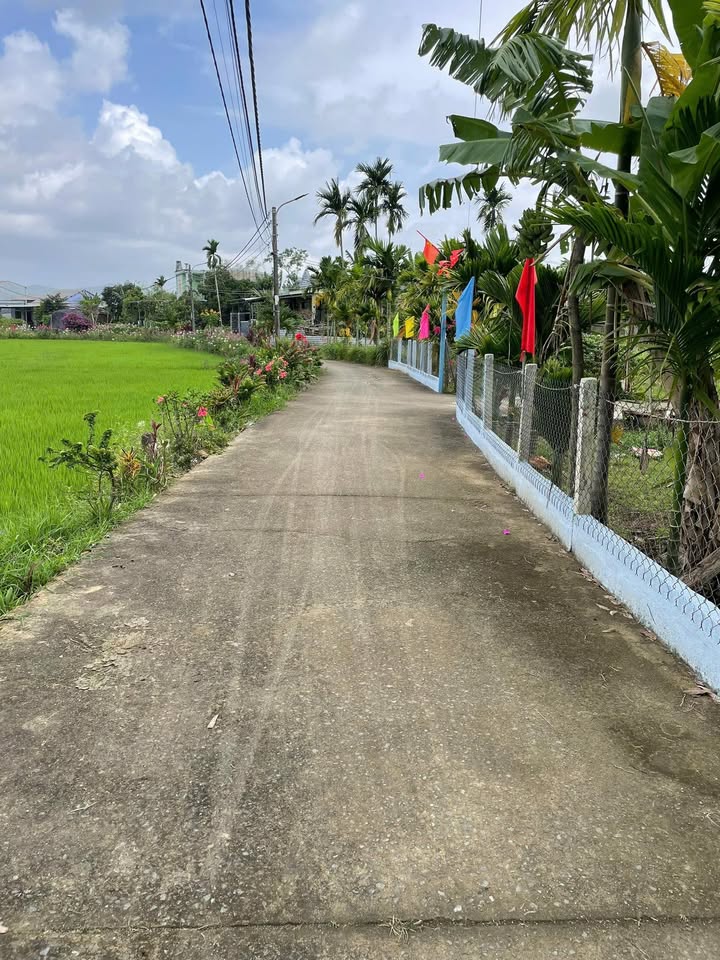 Đất Nền La Bông Hòa Tiến Đà Nẵng - 100m² Ô Tô Tận Nơi, Sổ Đỏ Sẵn