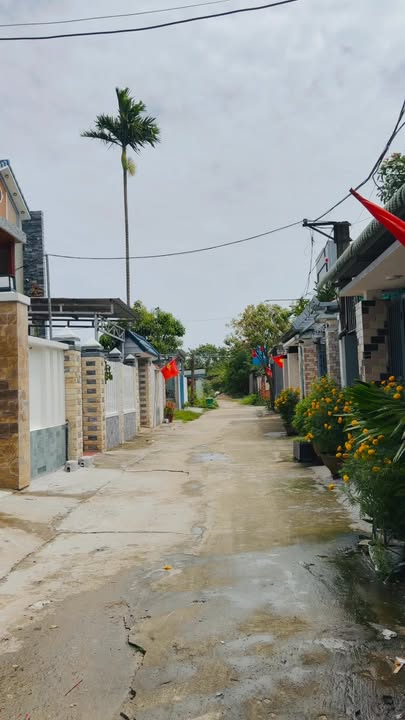 Đất Nền Điện Ngọc 245m² - Sổ Đỏ Sẵn, Gần Phạm Như Xương